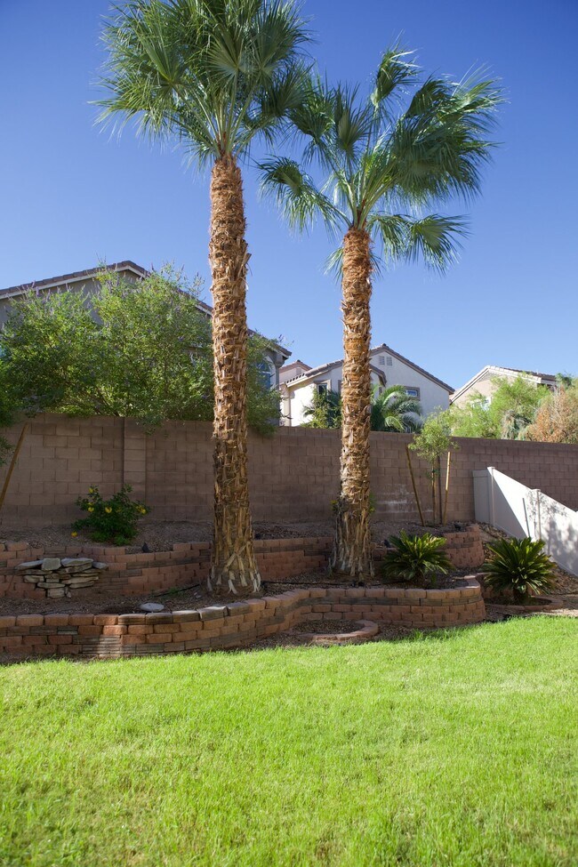 Building Photo - 1317 Robbers Roost Ave