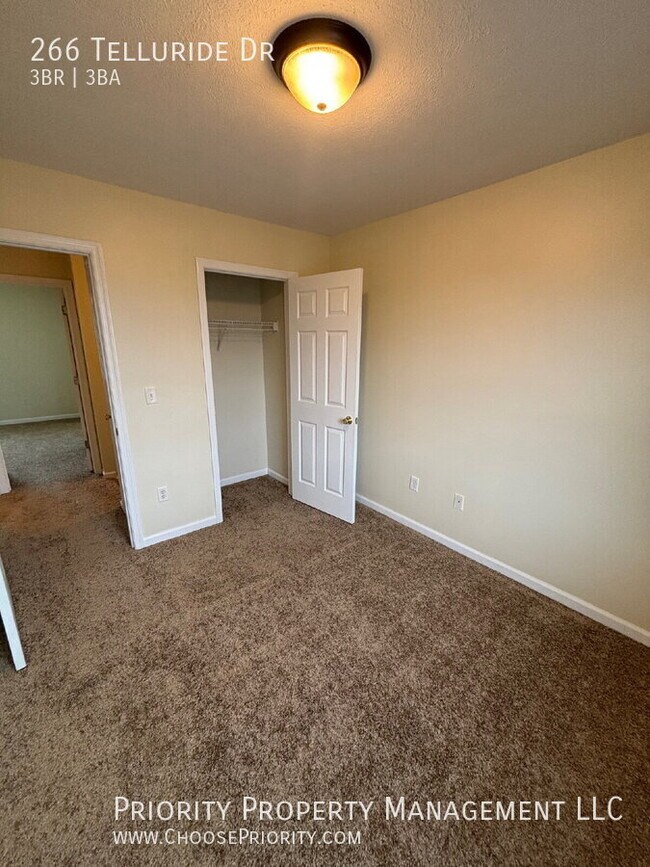 Building Photo - 266 Telluride Drive