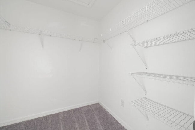 Building Photo - 7205 Sweet Alyssum Ct