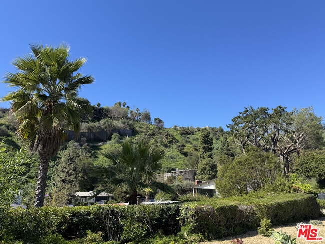 Building Photo - 1271 El Hito Cir