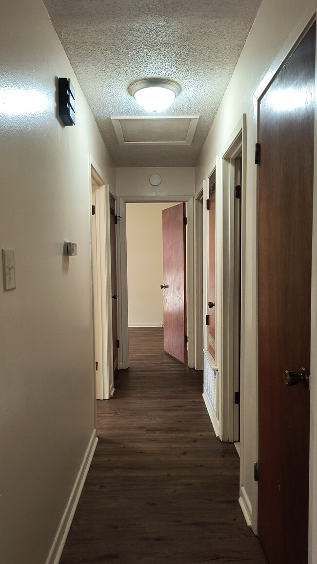 Building Photo - 2313 Starlite Dr