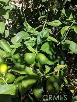 Building Photo - 62 Acorn