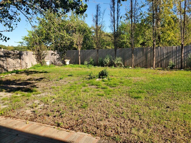 Backyard 2 - 10838 Cliffton Forge Dr