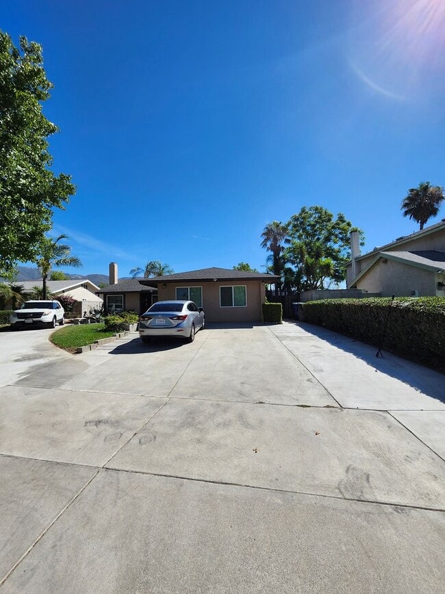 Beautiful Brand New 1-Bedroom, 1-Bath ALL... - Beautiful Brand New 1-Bedroom, 1-Bath  ALL...