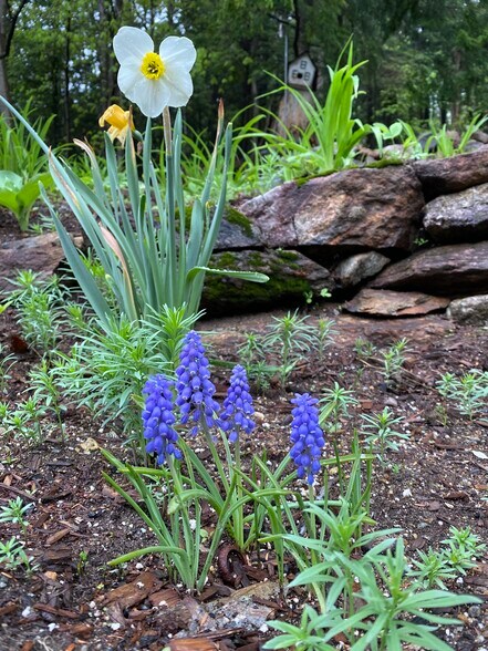 Building Photo - 326 Reservoir Dr