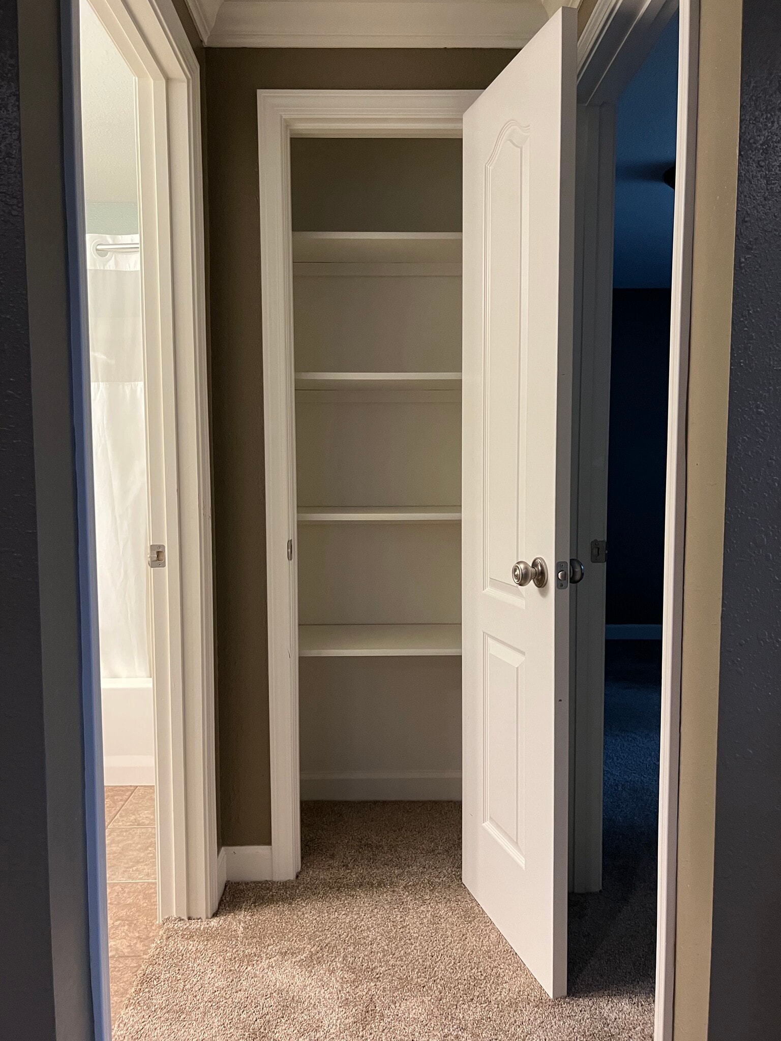Closet (downstairs) - 4701 Rainbow Trout Dr