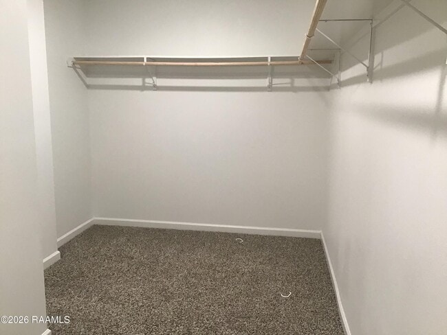 Building Photo - 111 Abbeywood Ct