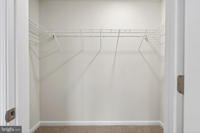 Building Photo - 159 Sandy Rdg Rd