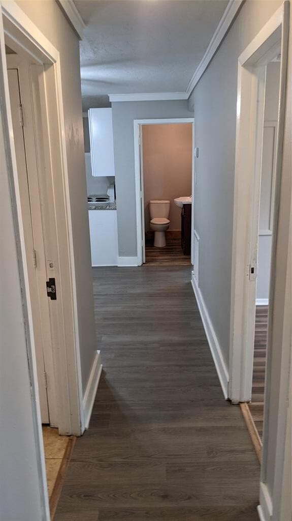 Building Photo - 204 3rd St