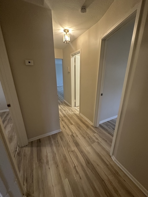 Building Photo - 4913 Donovan Dr