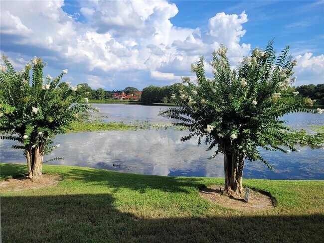 Building Photo - 155 N Pearl Lake Causeway