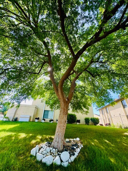 Building Photo - 6005 Hill Dale Ct