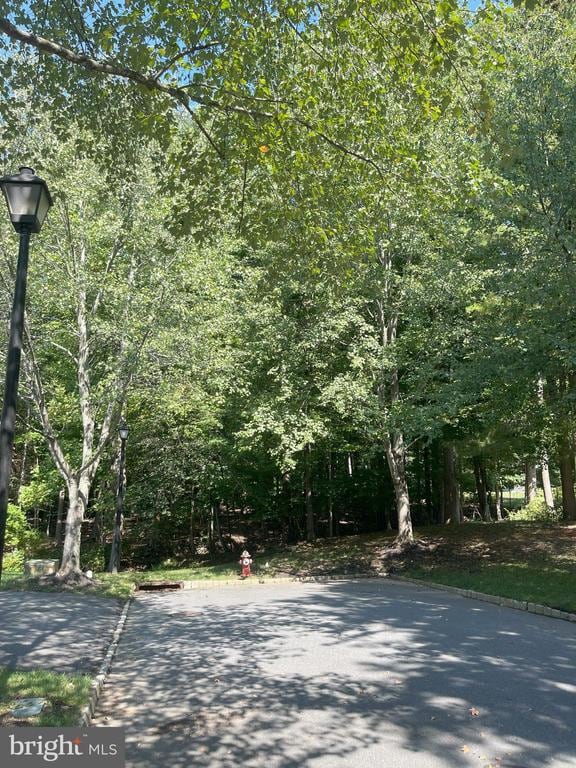 Building Photo - 24 Ginger Ct