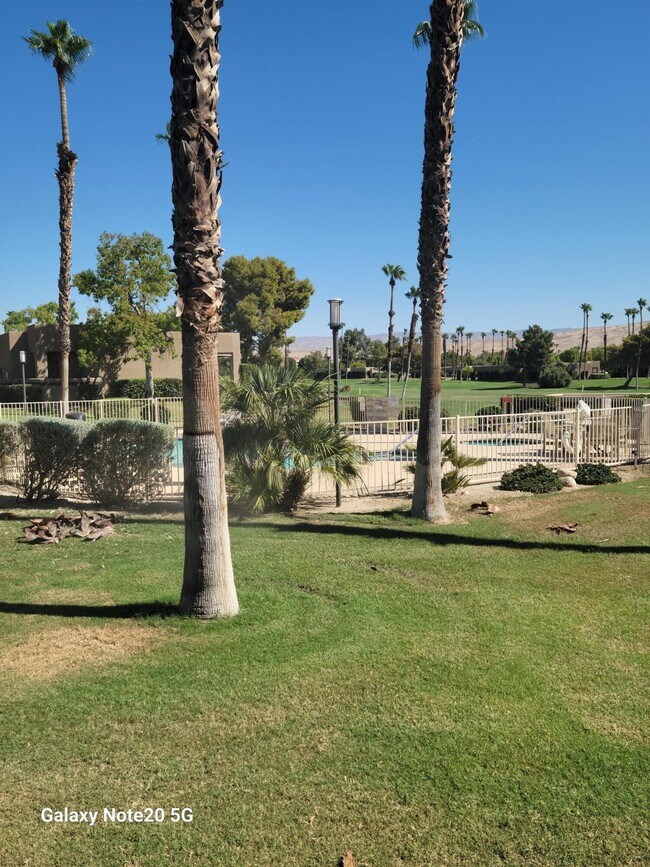 Building Photo - 29046 Desert Princess Dr