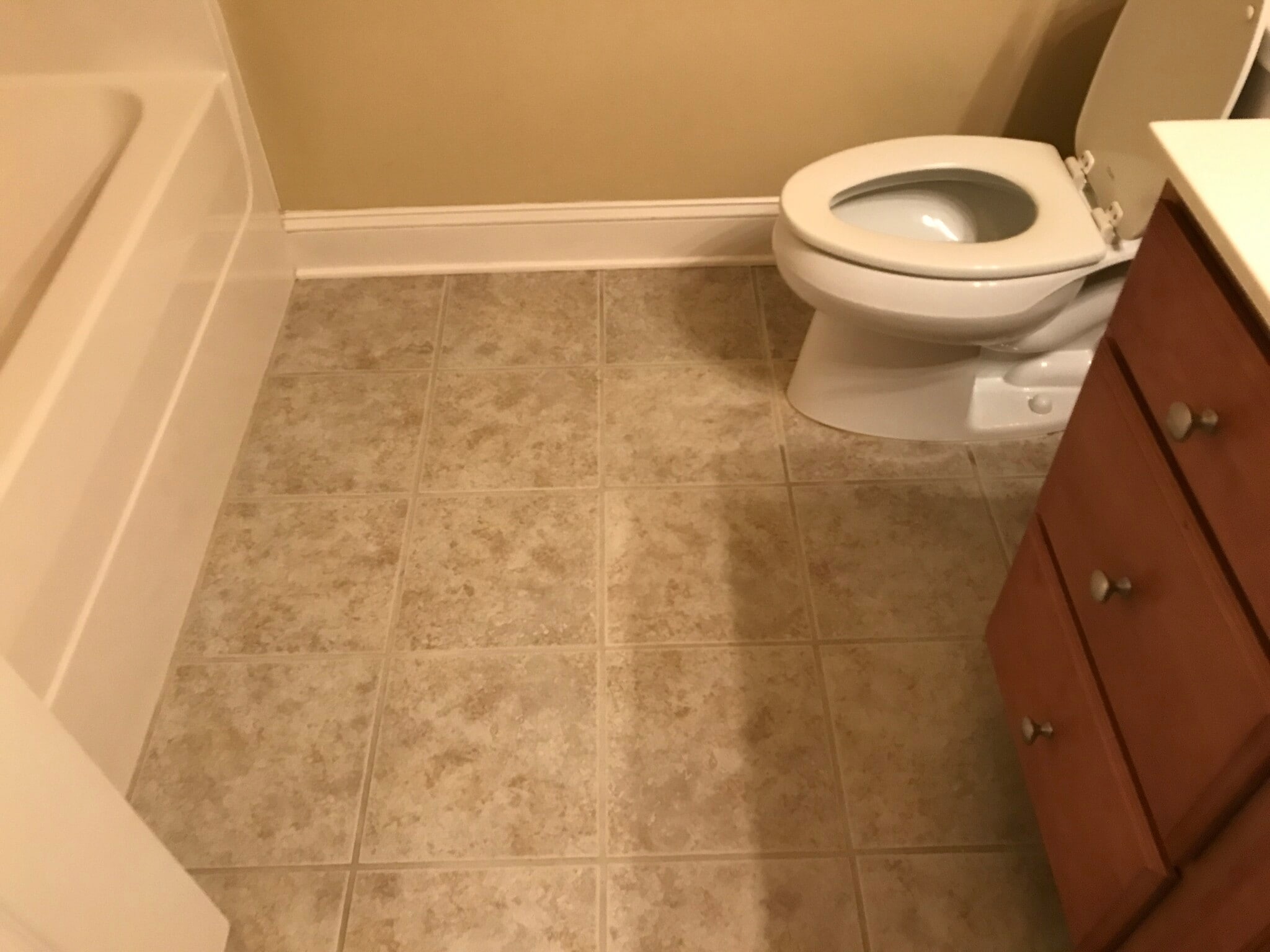 secondary bathroom - 1931 Dante Ln