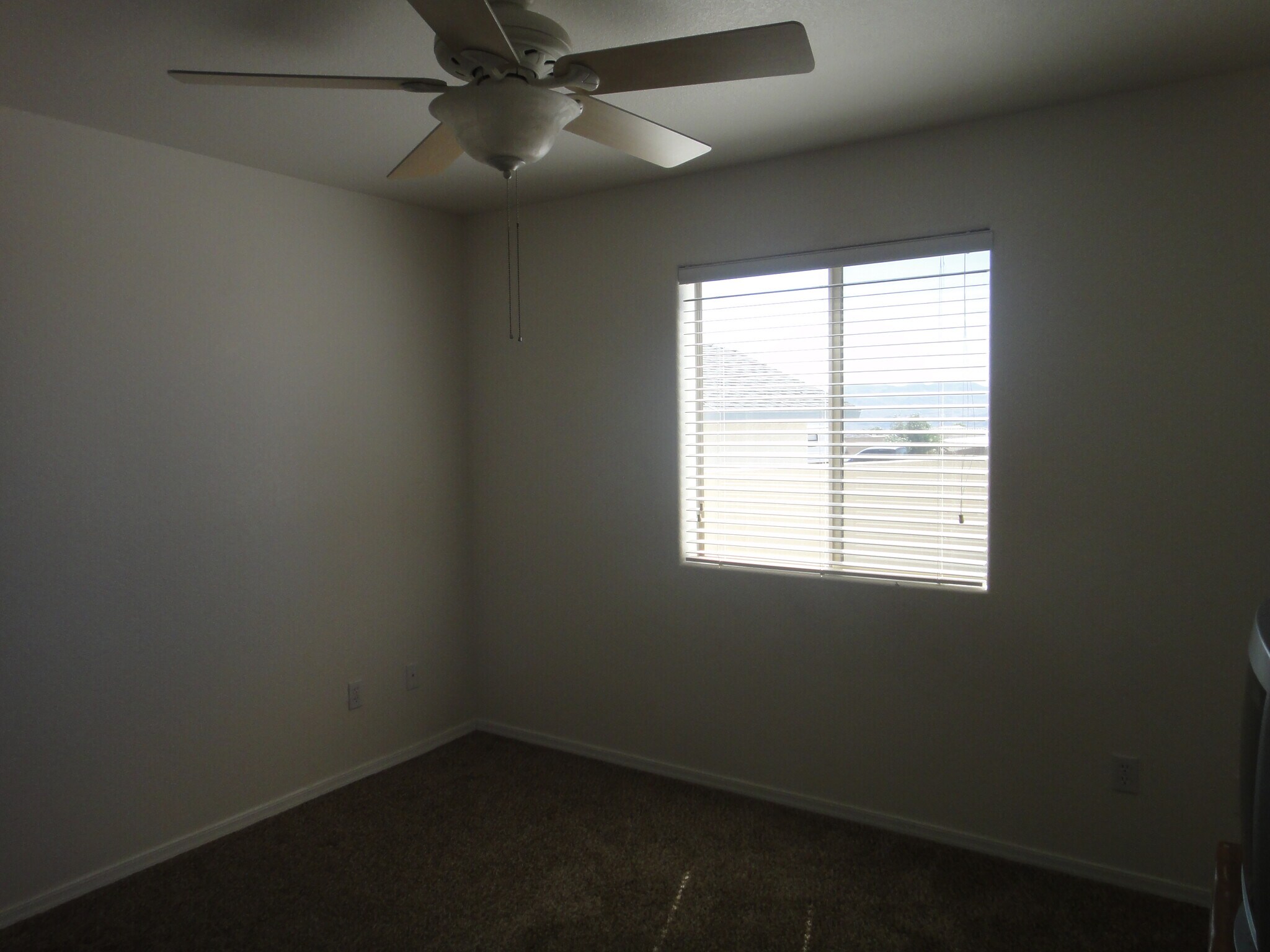 Building Photo - 3894 Bluegrass Ct