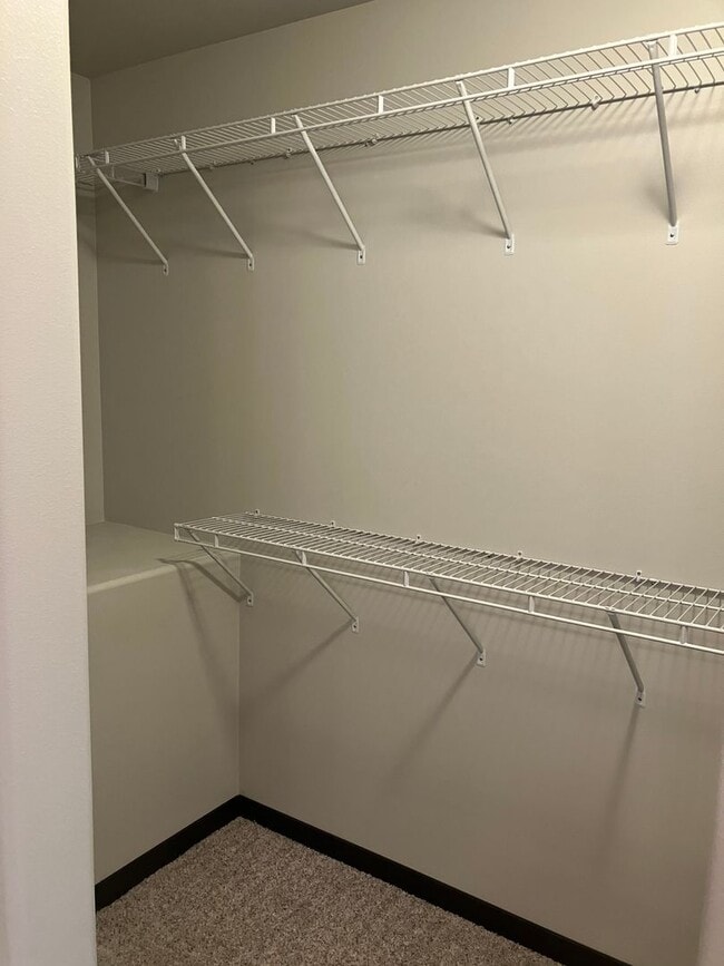 Building Photo - 4 Bed 3 Bath Single Family Home