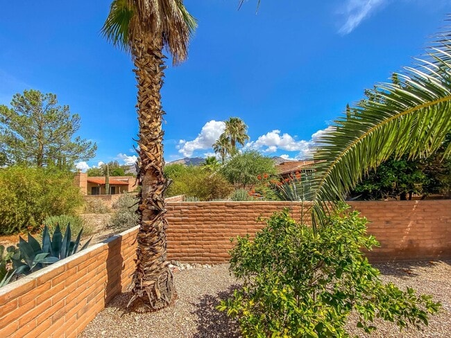 Building Photo - "Charming 2-Bed, 2-Bath Townhouse with Cozy Fireplace in Tucson's Scenic Sunrise Territory neighb...
