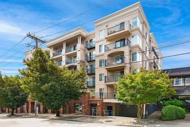 Building Photo - Counterbalance Apartments