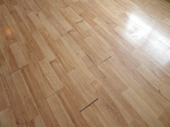 Building Photo - 720 Woodland Ave