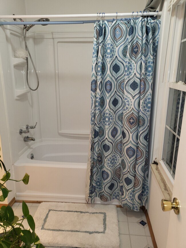 Building Photo - 2201 Elgin Ct