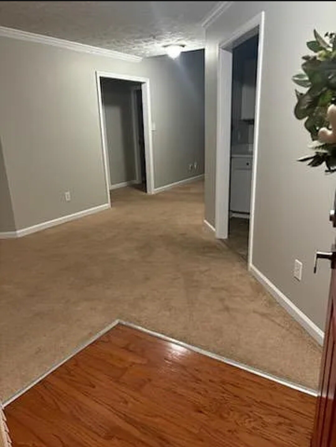 Building Photo - 360 Bubble Creek Ct