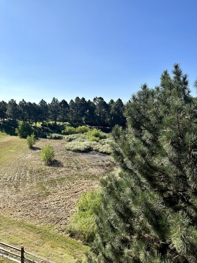 Building Photo - Don't Miss This Stunning Top Floor Unit in Littleton, CO! Stunning View From Private Balcony!!