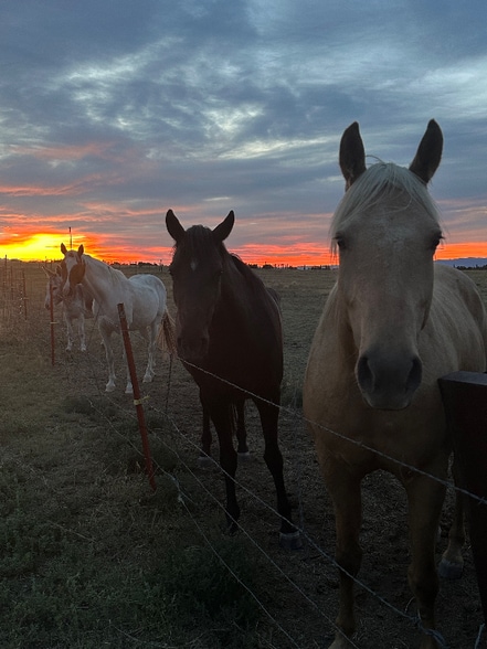 Building Photo - 1388 Newton Rd