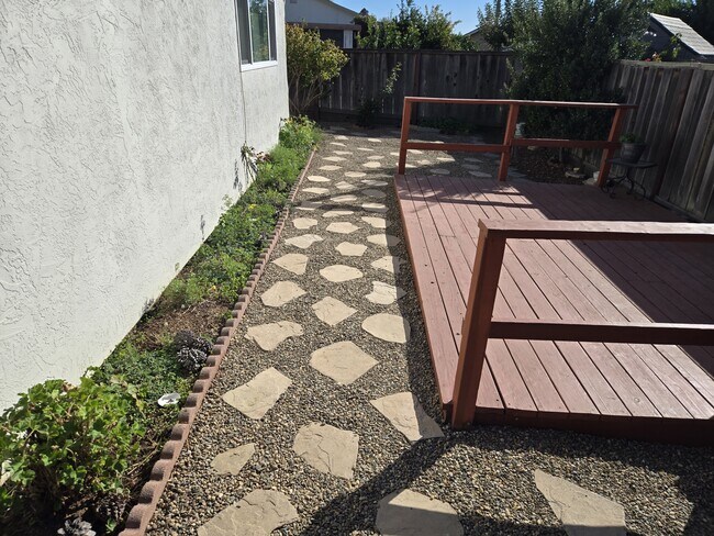 Back Yard - 613 Peartree Dr