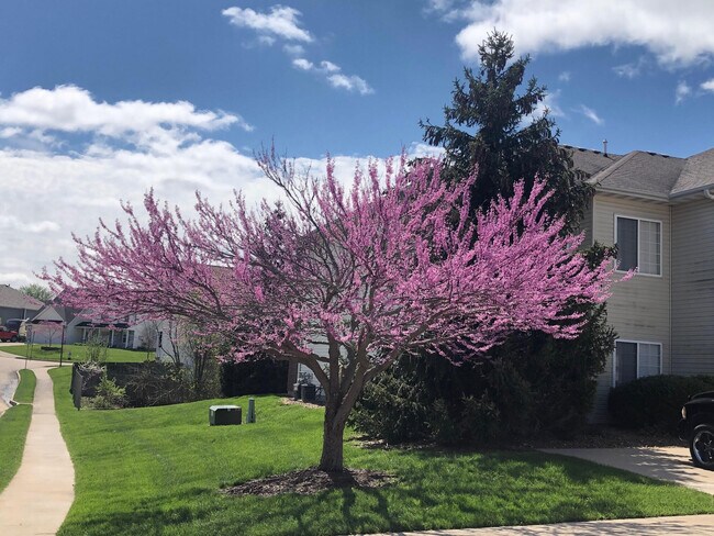 Building Photo - 1100 Kennesaw Ridge Rd