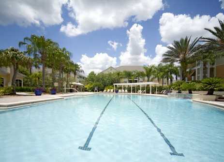 Beautiful pool - 9314 Crescent Loop Cir