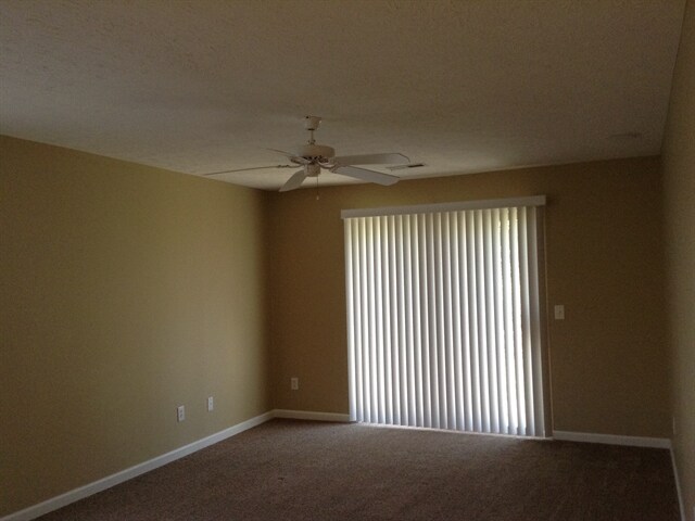 Building Photo - 1712 Yellow Rose Ct