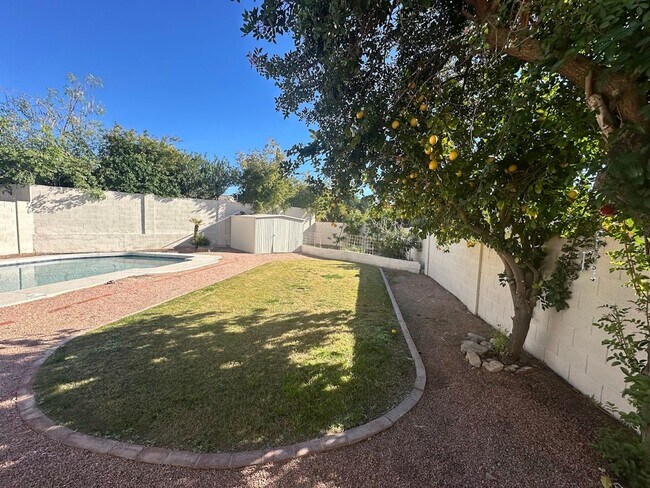 Building Photo - Gorgeous 4 bedroom Scottsdale home with POOL and 3 car garage