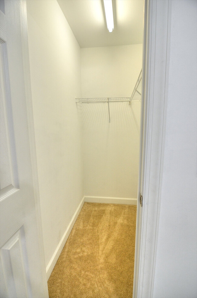 Building Photo - Three Bedroom House in Hillsborough - Avai...