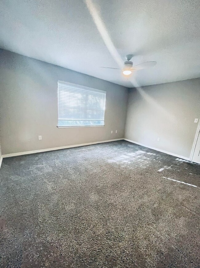 Building Photo - 214 Tooke St