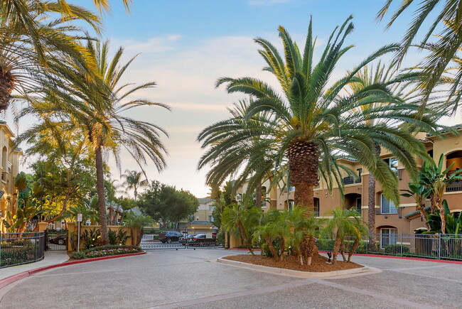 Building Photo - Allure at Scripps Ranch