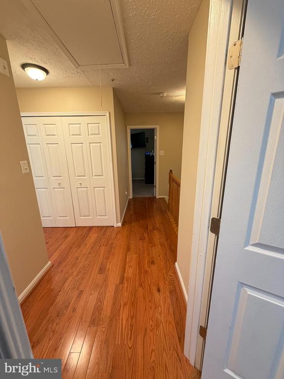 Building Photo - 7212 Tamo Ct