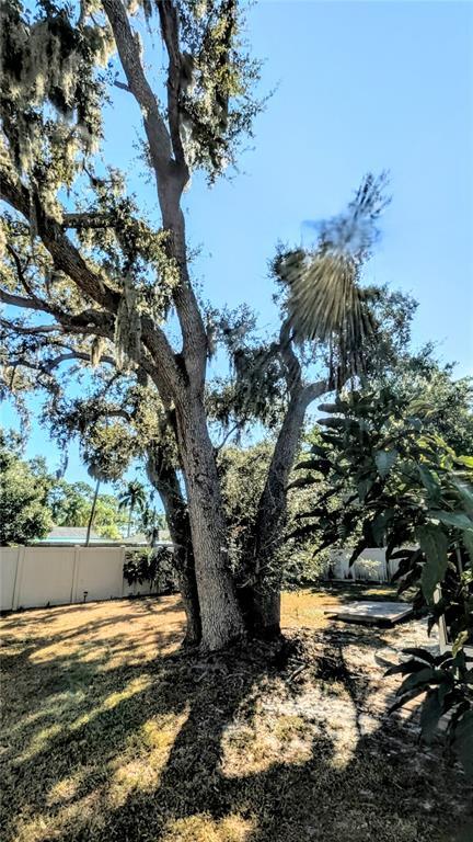 Building Photo - 2017 Arden Dr