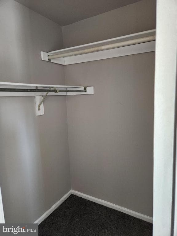 Building Photo - 316 Georgia Ct