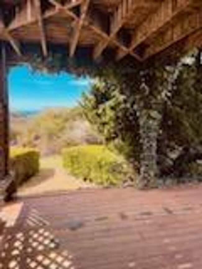 Building Photo - Fully Furnished Studio with Ocean Views!
