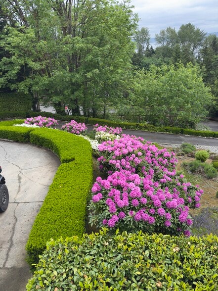 Building Photo - 17203 SE 42nd Pl