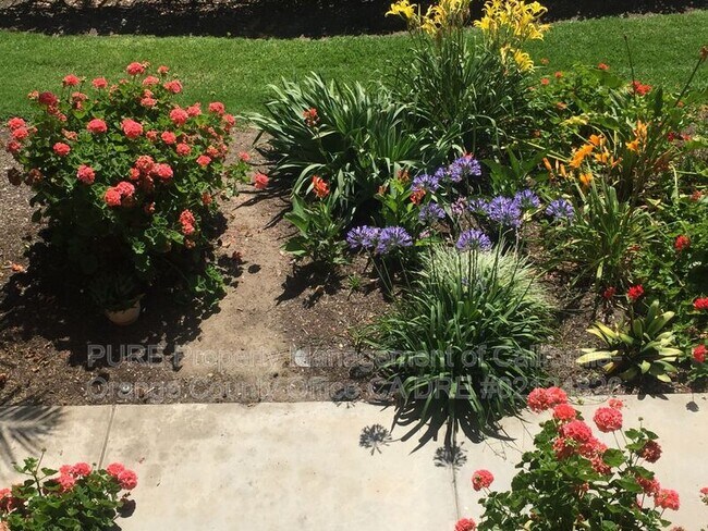 Building Photo - 3107 Via Serena S