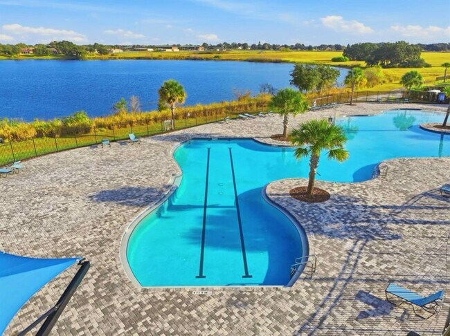 Building Photo - 6428 DOMIZIO Dr