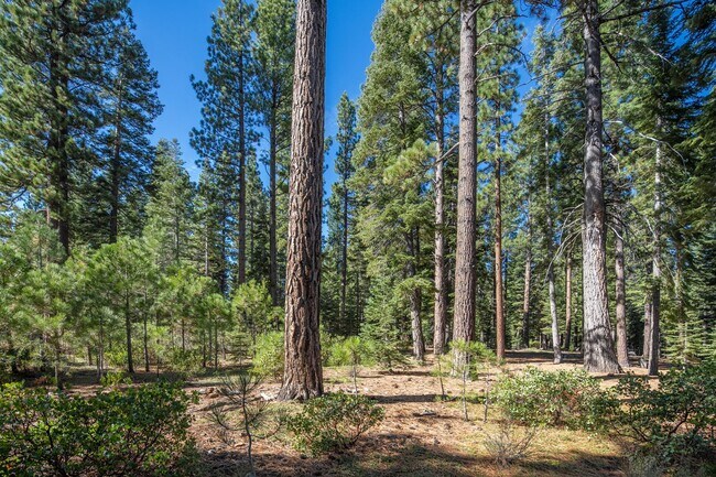 Building Photo - Luxury Lahontan Rental – Serene Forest Setting & Timeless Mountain Design