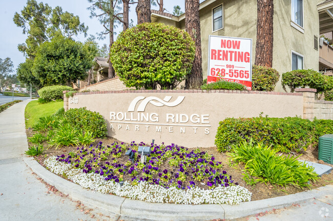 Building Photo - Rolling Ridge Apartments