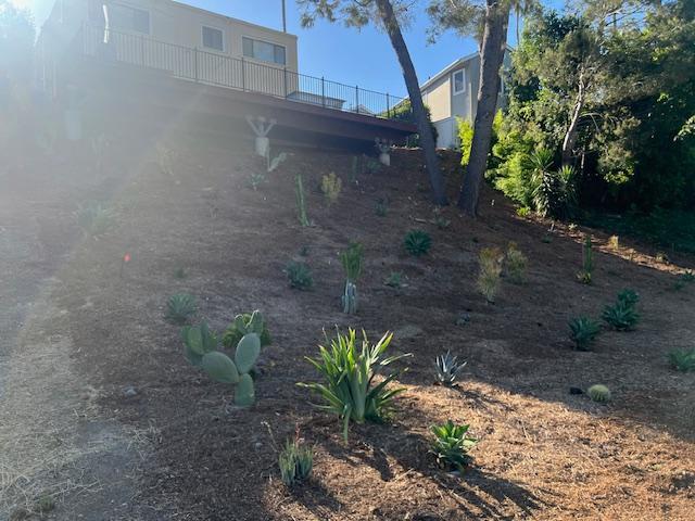 Water-friendly, native flora in back yard - 2812 Anchor Ave
