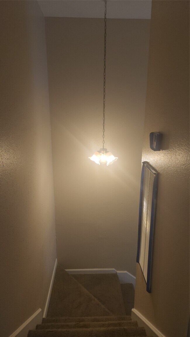 Building Photo - 12223 Wild Pine Dr