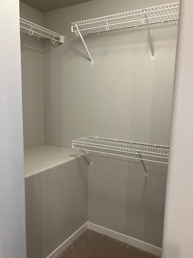 Building Photo - 4 Bed 3 Bath Single Family Home