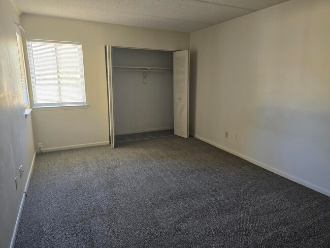 Building Photo - 209 W Miracle Strip Pkwy