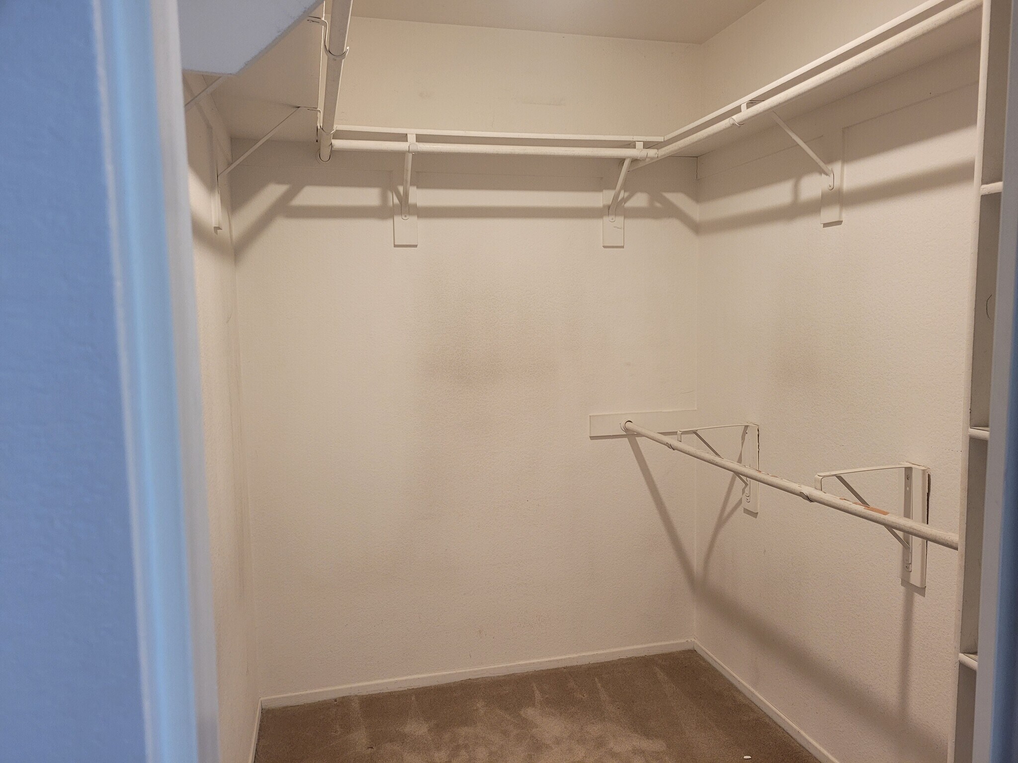 Primary walk in closet - 7192 Sappada Pl